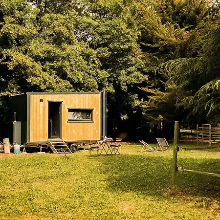 Feriehus Homnest - Clos De L'estuaire - Golfe De Gascogne Mortagne-sur-Gironde