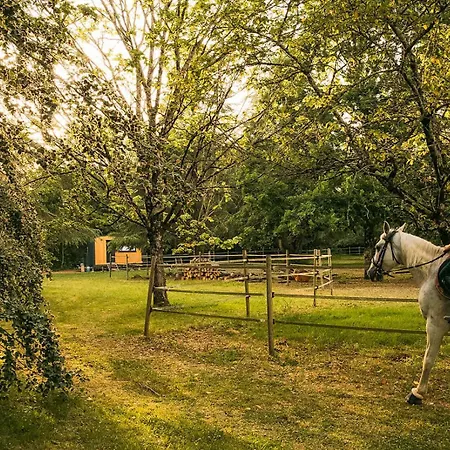 Homnest - Clos De L'estuaire - Golfe De Gascogne Hébergement de vacances *