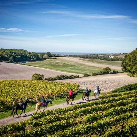 Homnest - Clos De L'estuaire - Golfe De Gascogne * Mortagne-sur-Gironde