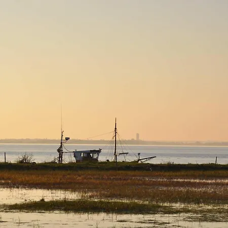 Homnest - Clos De L'estuaire - Golfe De Gascogne